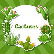 Cactuses and plants abstract natural background design N3