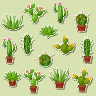 Cactuses and plants abstract natural seamless pattern N5