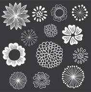Chalkboard Floral Elements Set N2