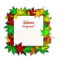 Autumn Frame N10