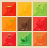 Fruits N18