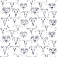 Seamless pattern with skulls of deer bull goat and sheep N3