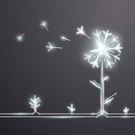 Dandelion Flower N3