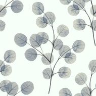 Branches with round leathes Watercolor background
