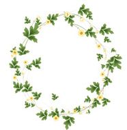 The floral concept of circle frame N4