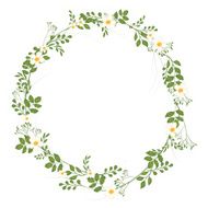 The floral concept of circle frame N10