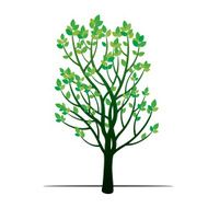 Green tree vector illustration N11