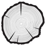 Tree rings background Annual tree N2