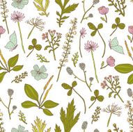 Flowers and grass N3