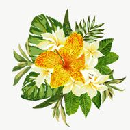 Bouquet of tropical flowers