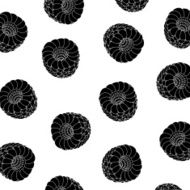 background of raspberry