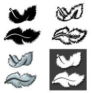Set of Feathers types with different concept N4