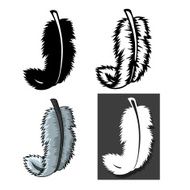 Set of Feathers types with different concept N5