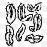 Feathers tattoo set in transparent background
