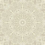 Round mandala background N3