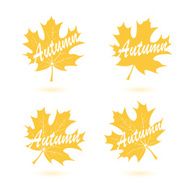 Set of autumn maple leaves