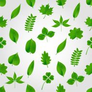 natural green beautiful leaves icon seamless pattern eps10