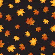 Autumn maple leaves seamless pattern background