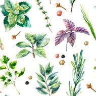 Watercolor seamless pattern of fresh herbs and spices isolated