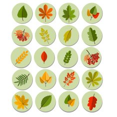 Set of colorful autumn leaves Autumn icon set Fall leaves