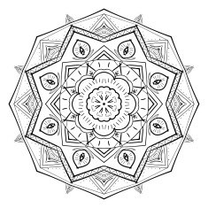 Floral abstract ornament vector illustration N26