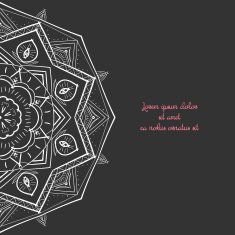 Floral abstract ornament vector illustration N29