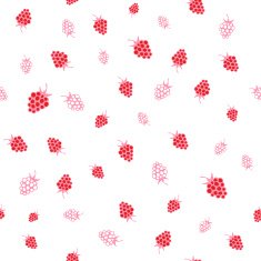 Seamless pattern of raspberries