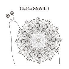 lovely snail N2