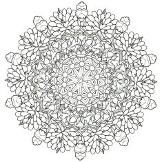 exquisite mandala pattern design N4
