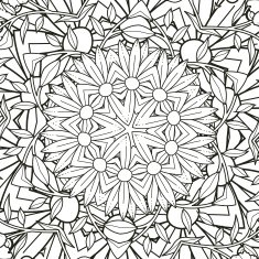 exquisite mandala pattern design N5