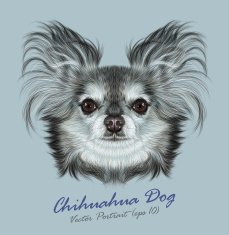 Vector Illustrative Portrait of Chihuahua dog