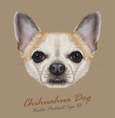 Vector Illustrative Portrait of Chihuahua dog N4