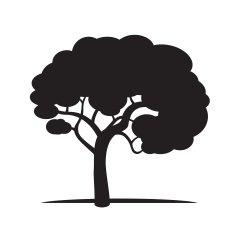 Black Tree N5