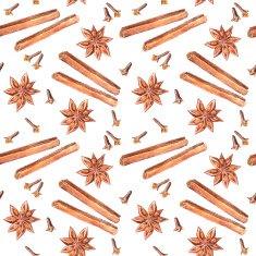 Christmas vector illustration N23