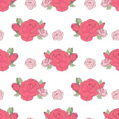 Pink rose on the white background N3