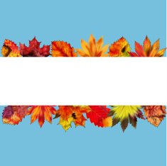 Leaves N42