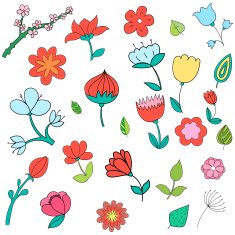 Different color flowers vector illustration N2