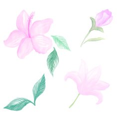 Watercolor flowers pasterl color