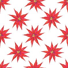Seamless pattern with Christmas flowers