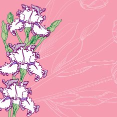 Pink Background with irises N2