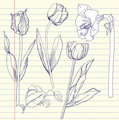 Notebook set with tulip and amaryllis