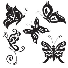 Set of butterflies icons