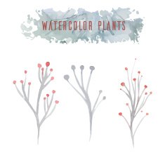 Set of watercolor flowers