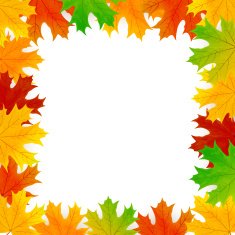 Frame from the leaves