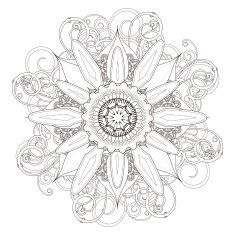 exquisite mandala pattern design N6