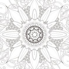exquisite mandala pattern design N7