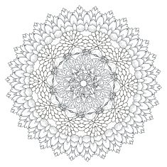 exquisite mandala pattern design N8