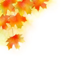 Fall leaves background N7