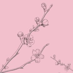 Oriental cherry vector illustration N2