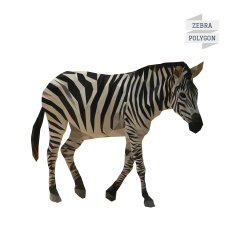 Zebra polygon vector
